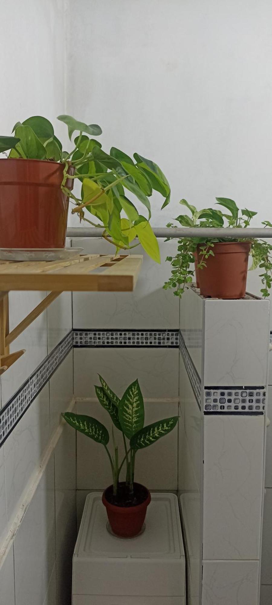 Appartement Casita Libertad Barranco à Lima Extérieur photo
